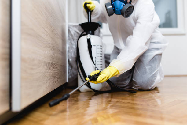 Pest Prevention Services in Tyndall, SD