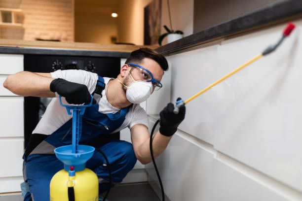Best Affordable Pest Control Services  in Tyndall, SD