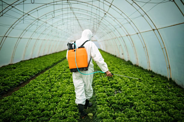 Best Commercial Pest Control Services  in Tyndall, SD