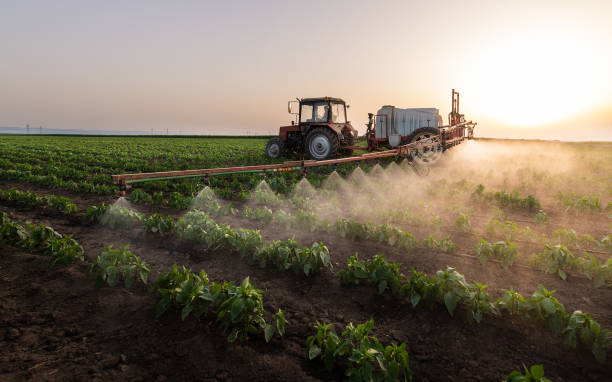 Best Ant Control Services  in Tyndall, SD