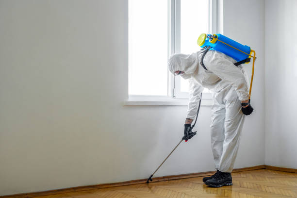 Best Best Pest Control Companies  in Tyndall, SD