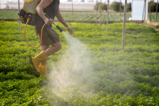 Best Affordable Pest Control Services  in Tyndall, SD