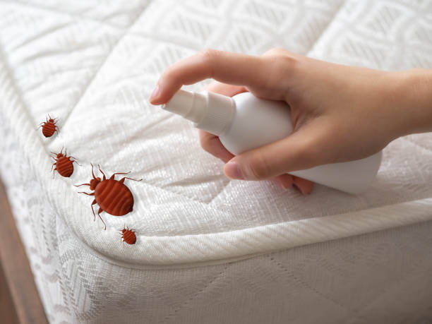 Best Pest Control for Businesses  in Tyndall, SD