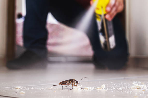 Best Emergency Pest Control  in Tyndall, SD