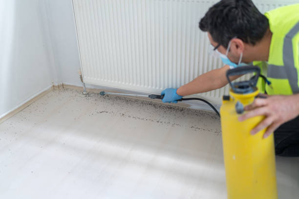 Best Cockroach Control Services  in Tyndall, SD