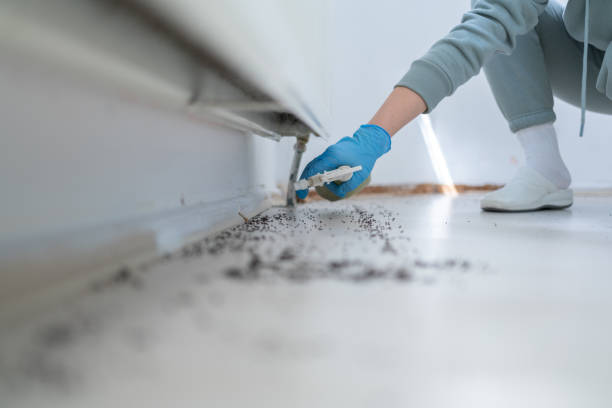 Best Exterminator Services  in Tyndall, SD