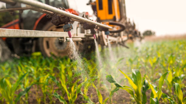 Best Pest Prevention Services  in Tyndall, SD